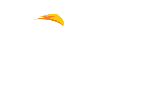 logo Passarinho Truck